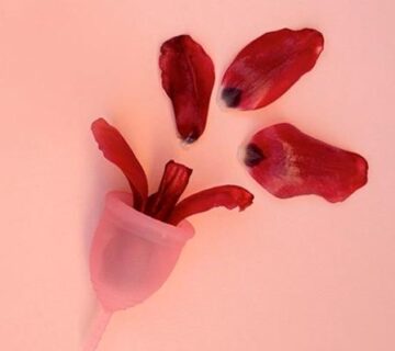 Menstruacao 360x320